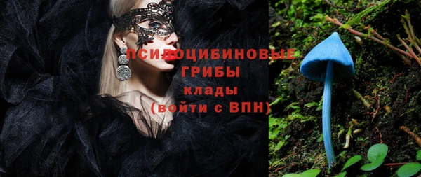 ешки Балахна