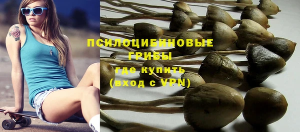 ешки Балахна